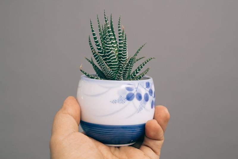 Ochre Geometric Tall Pot