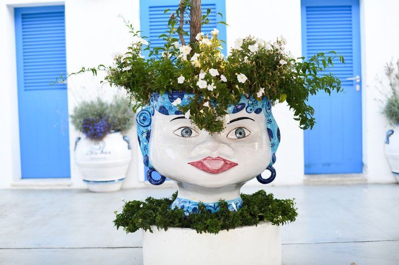 Terracotta Desert Bowl Planter